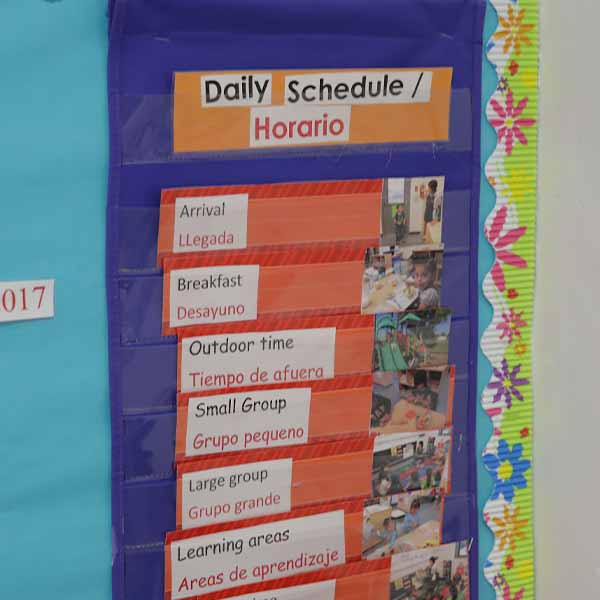 daily-schedule.jpg