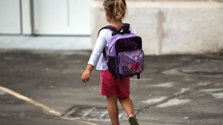 104832980-primary_school.webp