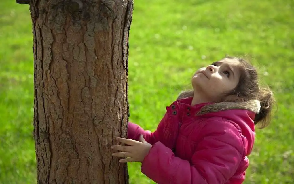 child-measure-a-tree.webp