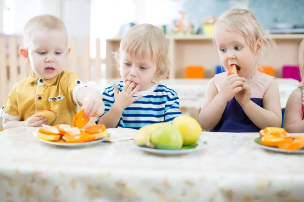 nursery-food3-1024x682.webp