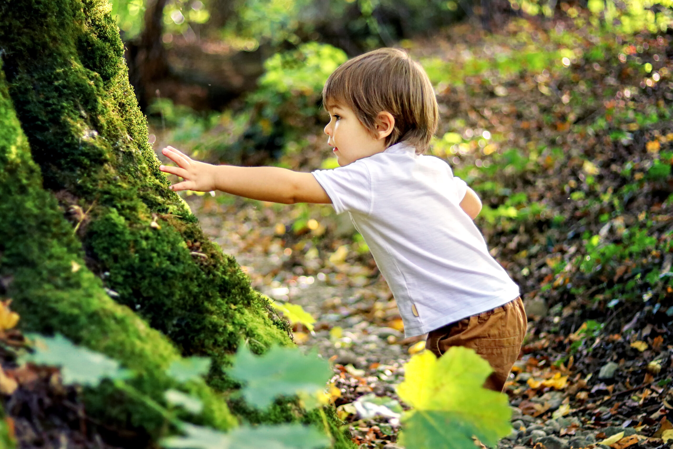 AdobeStock_292758285-2-scaled.jpeg